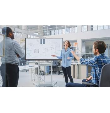 شاشة Newline 65"‎ C-Series التفاعلية 4K 40 نقطة (TT-6523C)