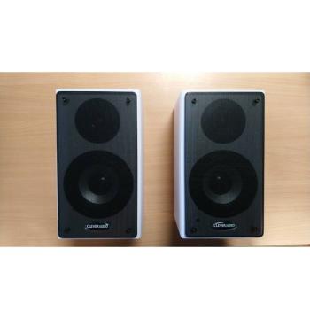 مكبر الصوت النشط CleverTouch 40W مع التثبيت الجداري (1050038)